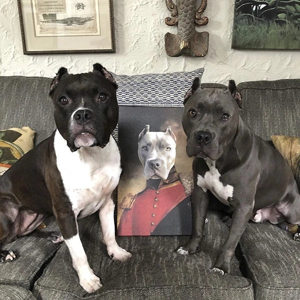 Prince Custom Pet Canvas with Framed Ready to Hang