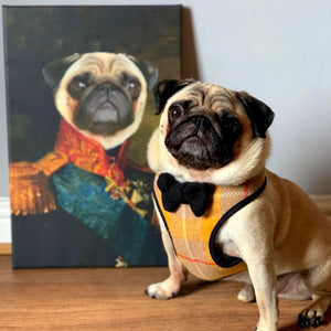 The Duke Custom Pet Canvas with Framed Ready to Hang